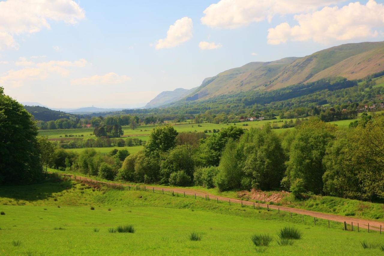 Arndean * Dollar