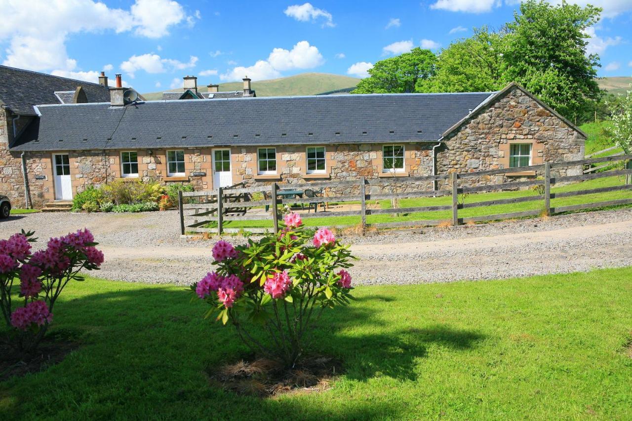 Arndean Vakantiehuis Dollar
